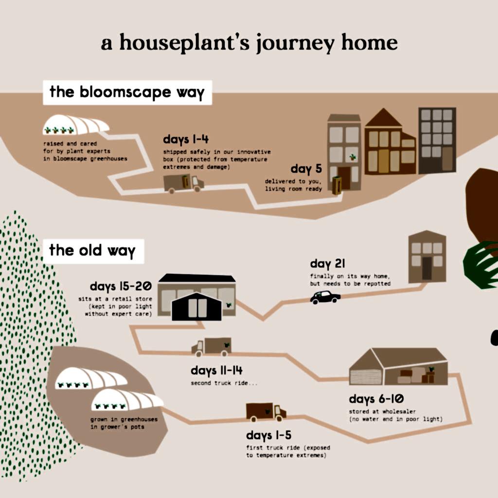 Bloomscape best and easiest way to buy indoor plants