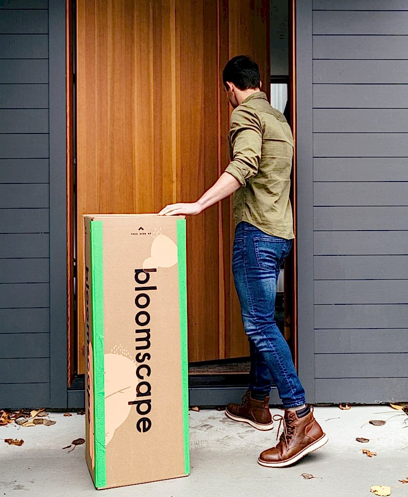 Best Plants for Apartments, Bloomscape