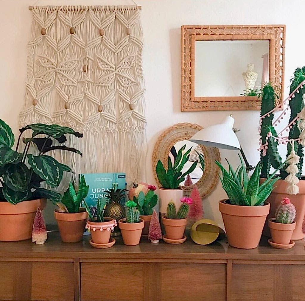 colorful bohemian home, bohemian style plants