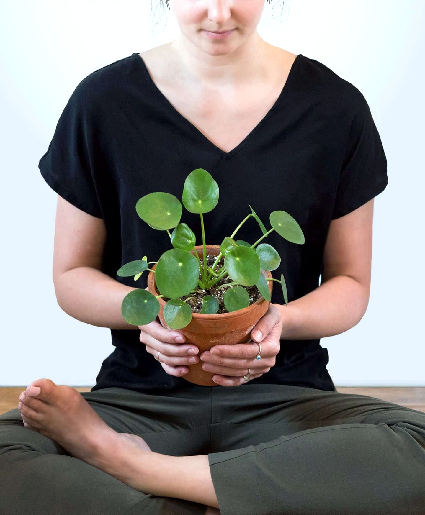 plant image