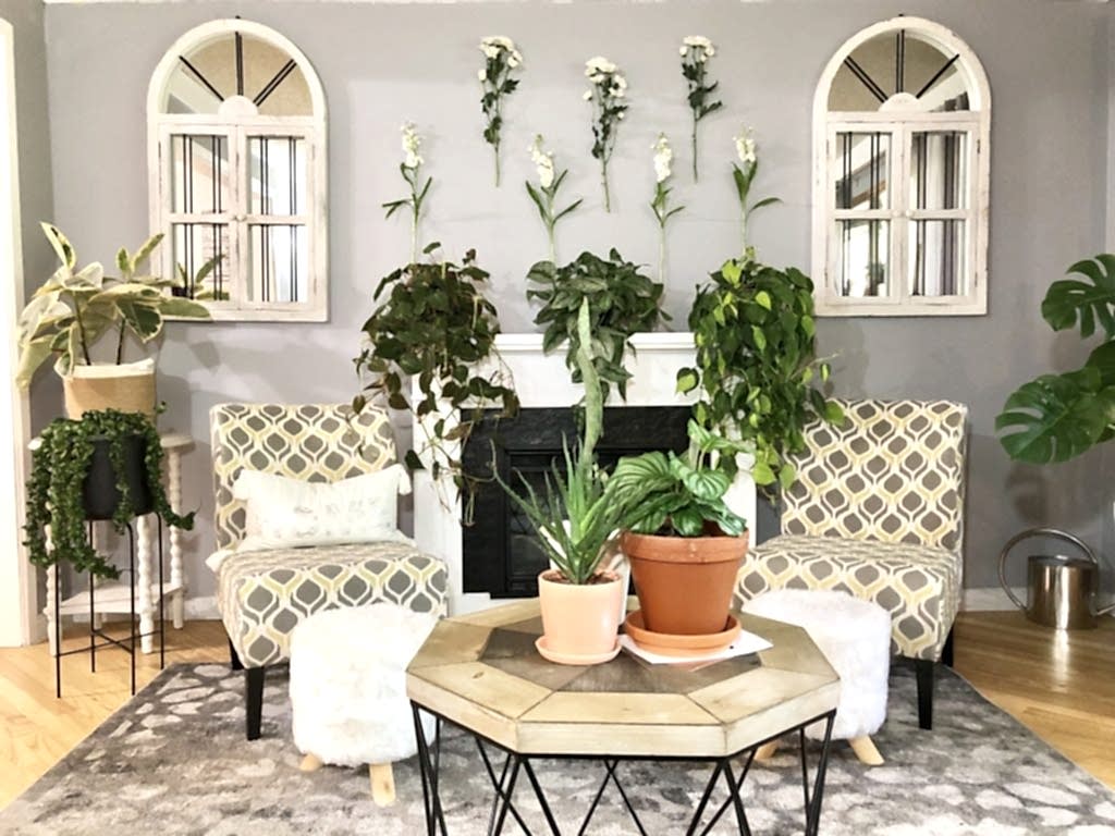 Plant Life Series: A Modern Bohemian Plant Paradise in Chicago