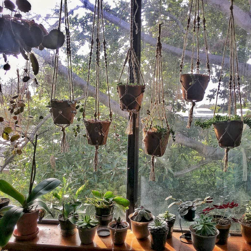Plant-filled, Cat-Friendly Home