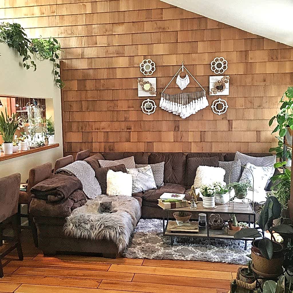 Plant-filled, Cat-Friendly Home