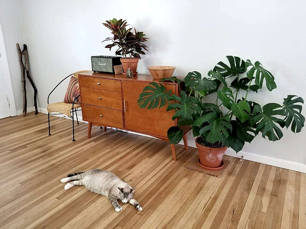 charming mid-century california bungalow
