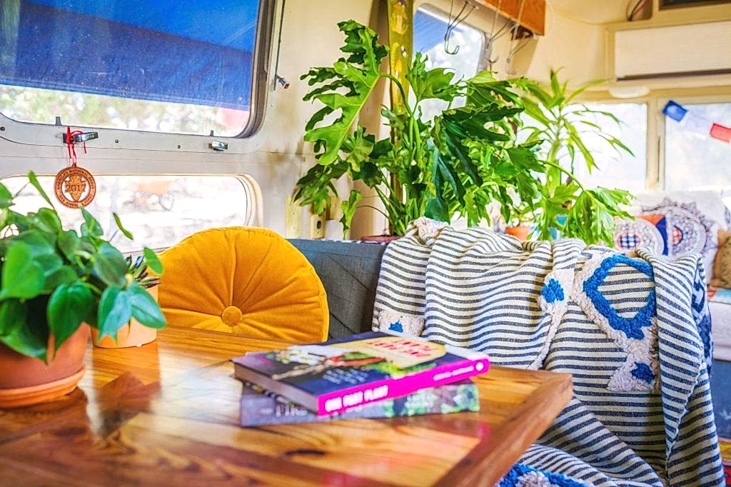 Plant Life Series: A Colorful Southwestern Maximalist Home