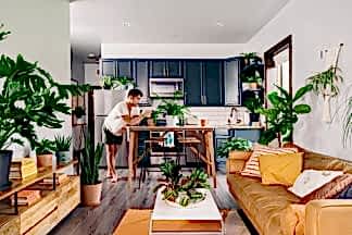 Best Plants for Your Apartment: Bloomscape Your Space