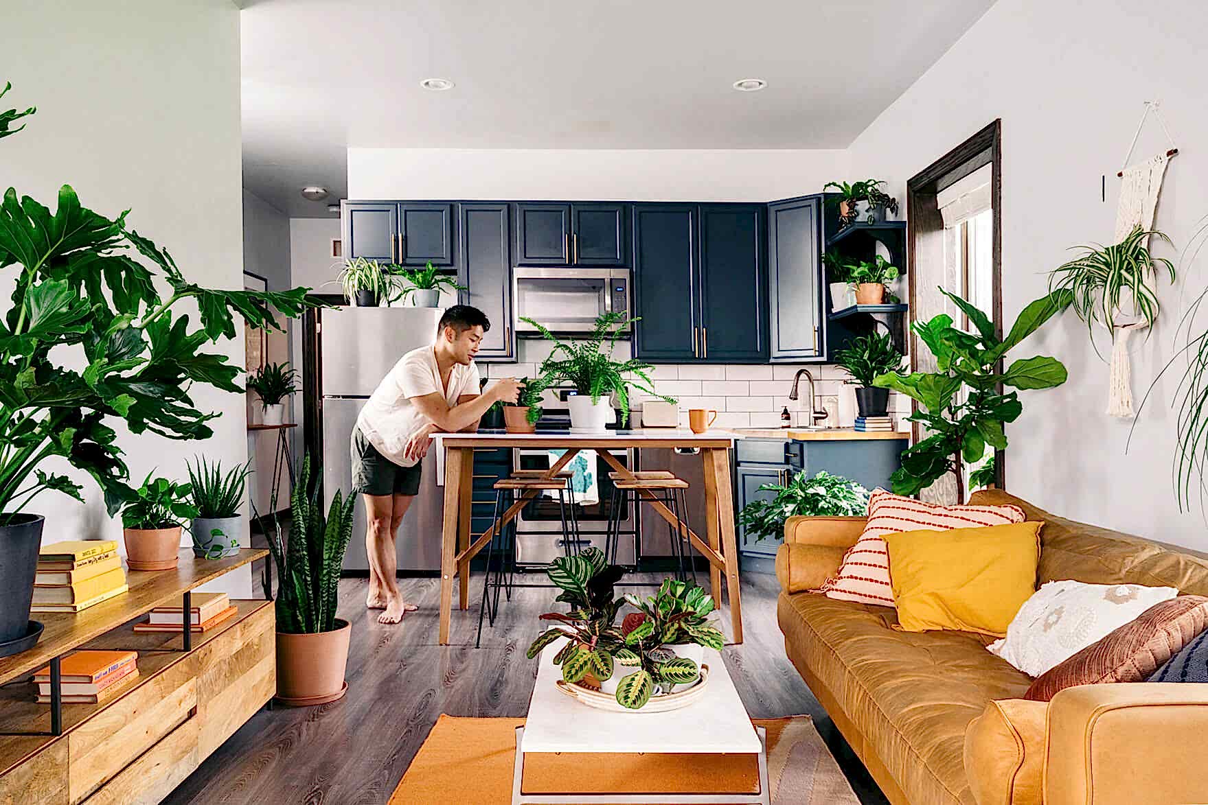 Best Plants for Your Apartment: Bloomscape Your Space