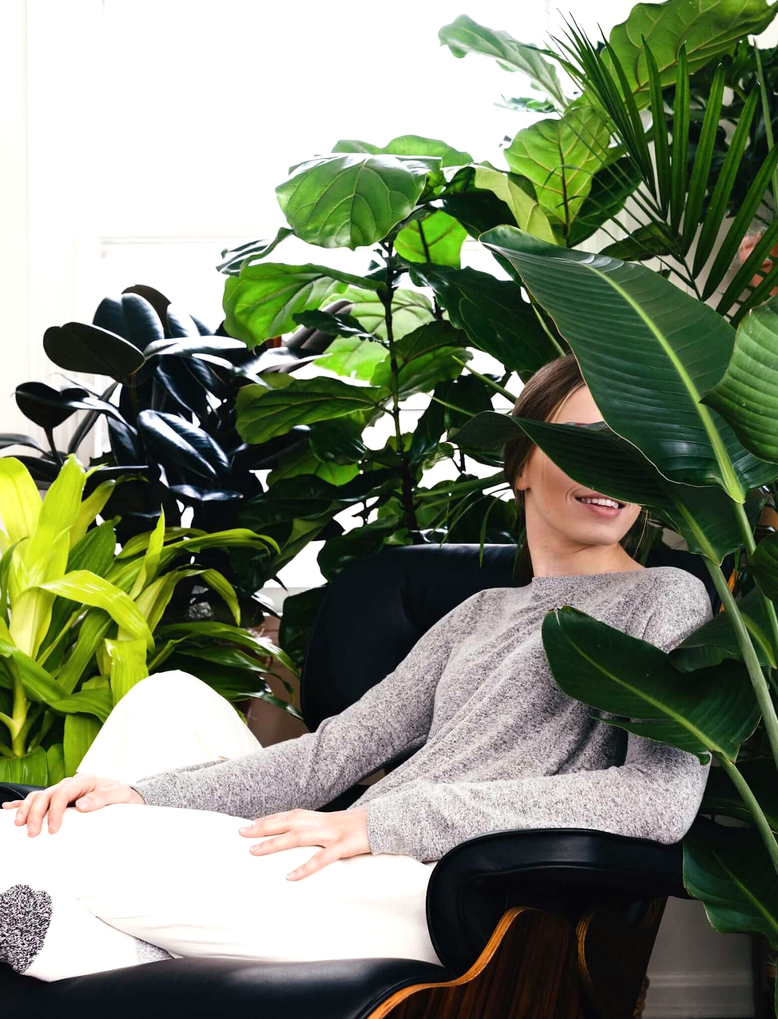 Health Benefits of Indoor Plants