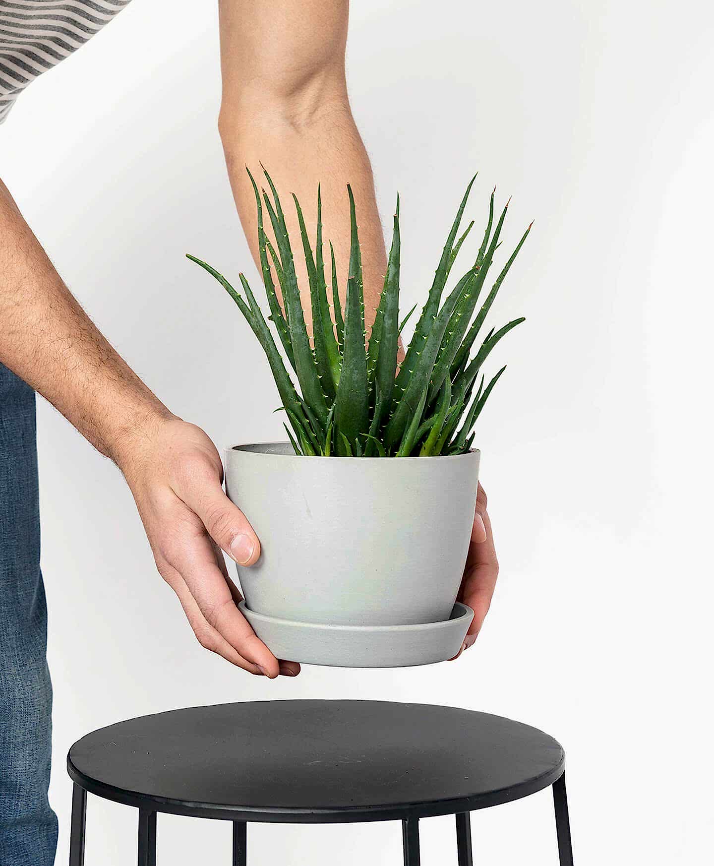 Bloomscape Ecopots Small Pot