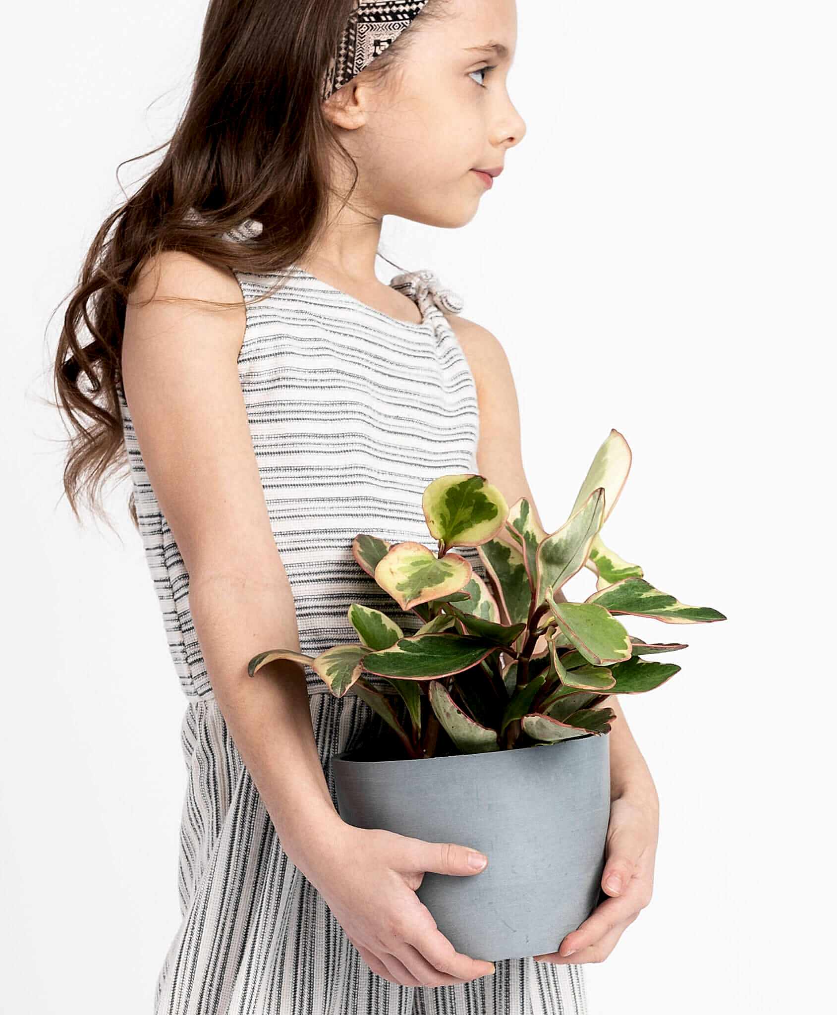 plant image