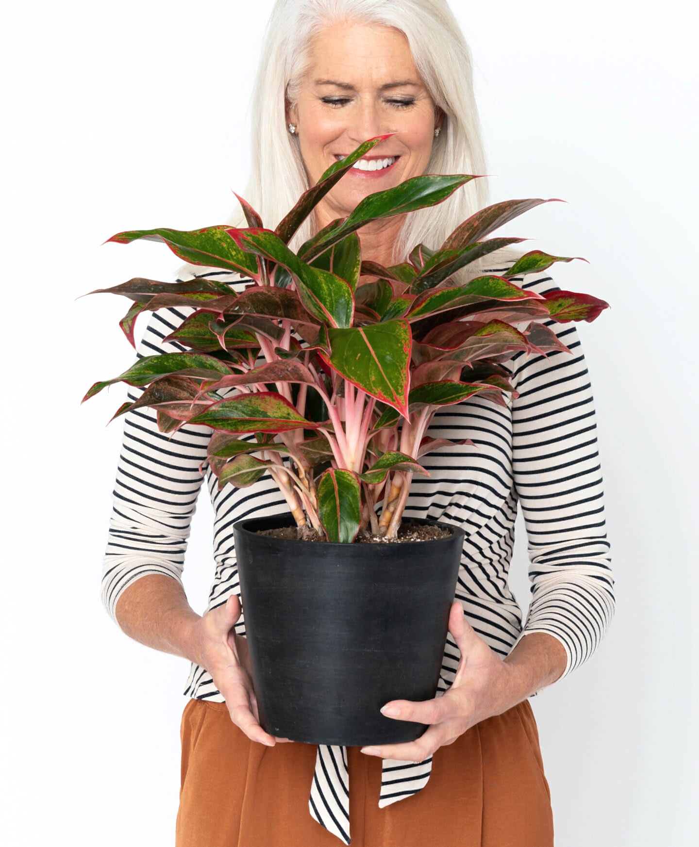 plant image