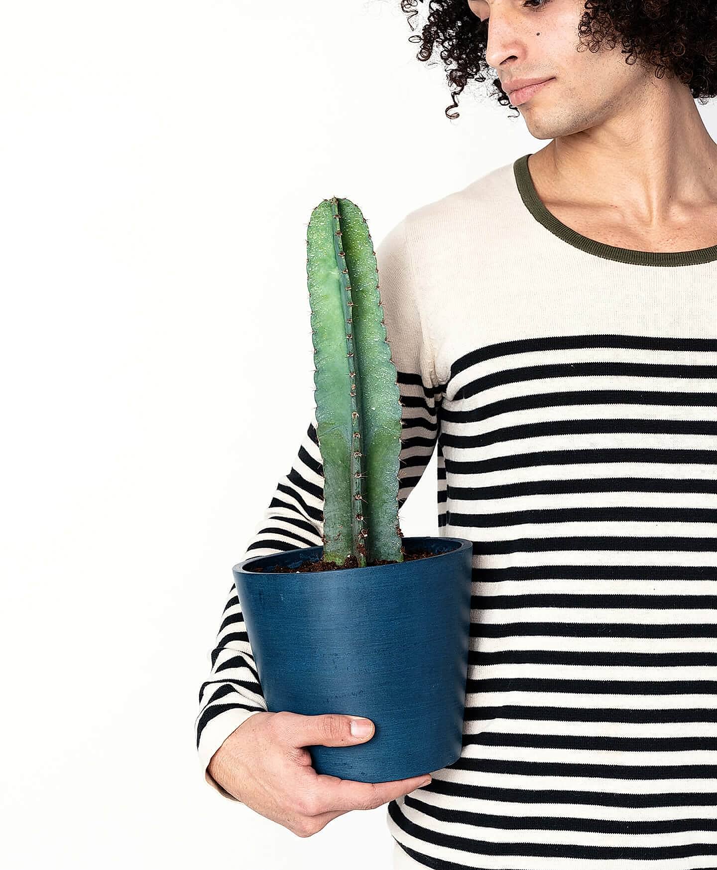 plant image