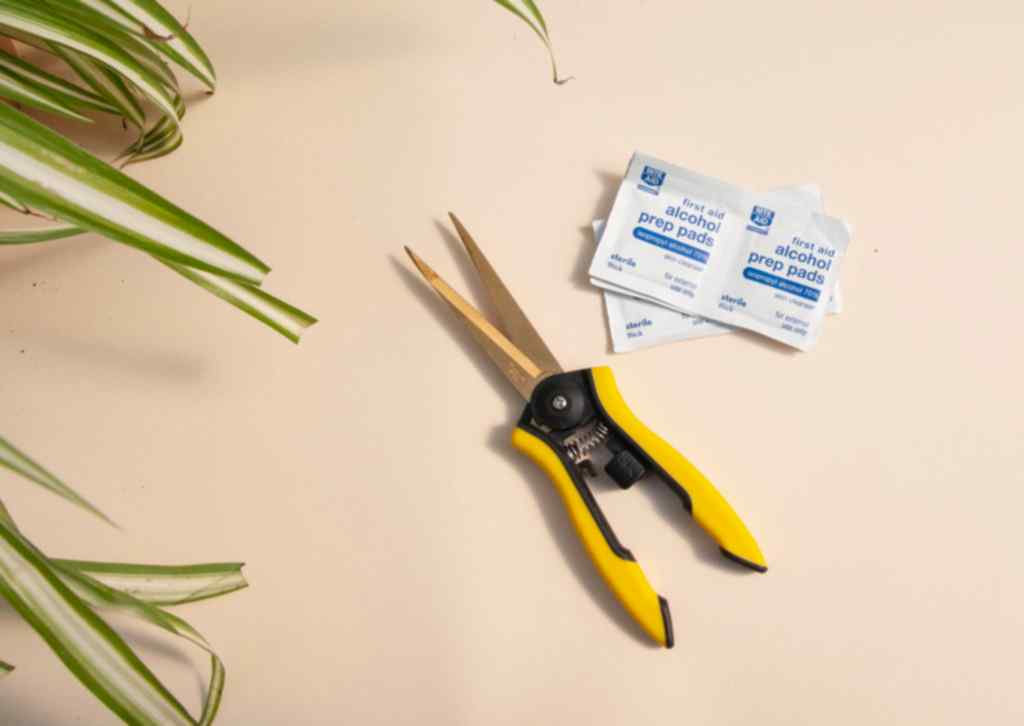 How To Trim Your Plants: Supplies
