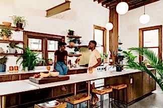 Best Plants for the Kitchen: Bloomscape Your Space