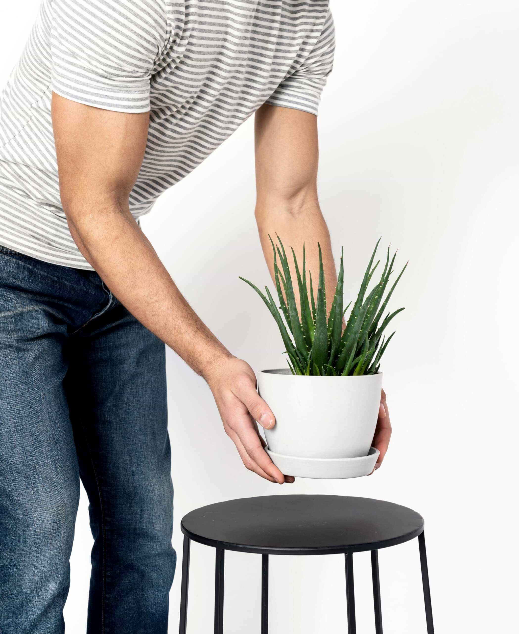 plant image