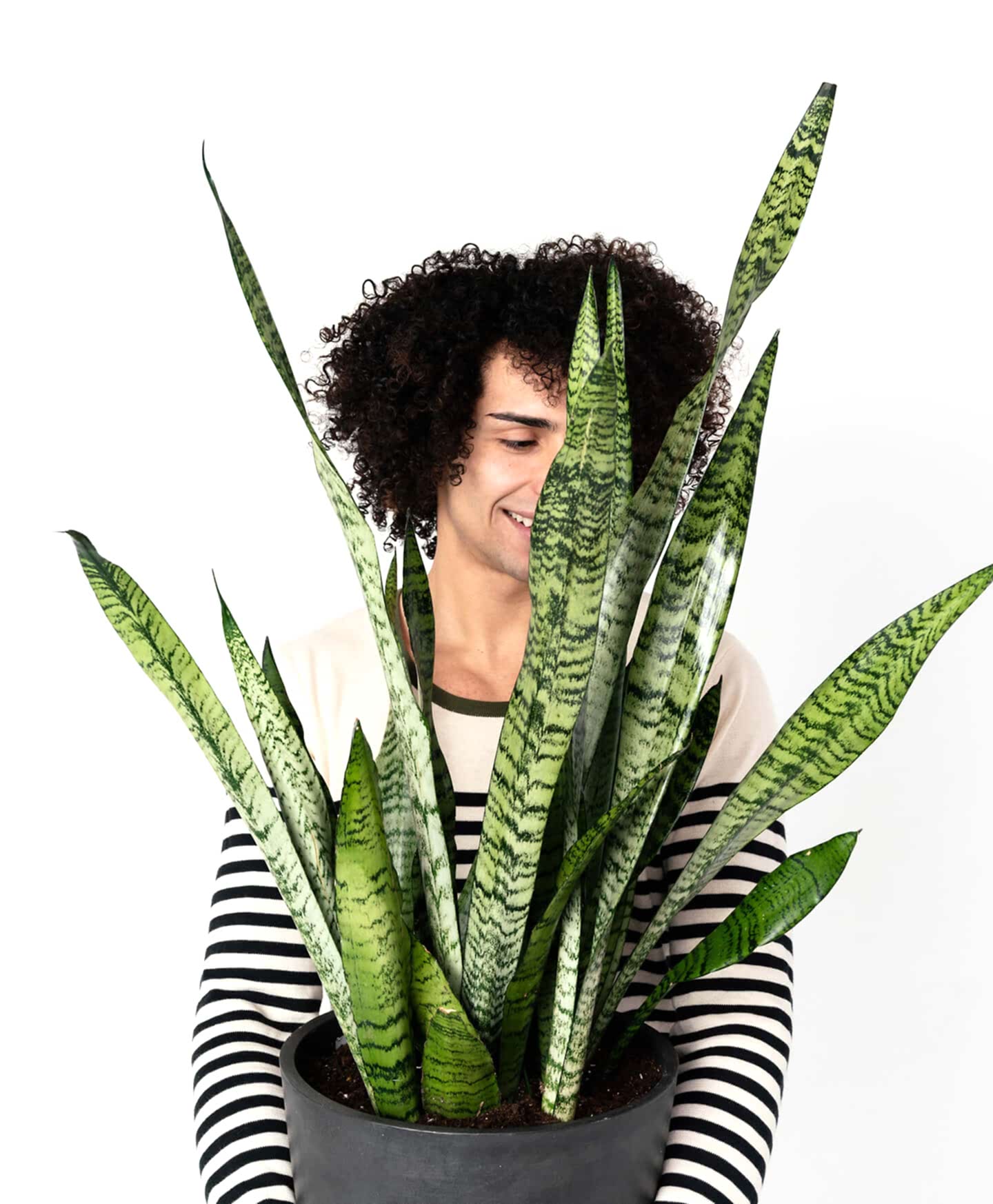 plant image