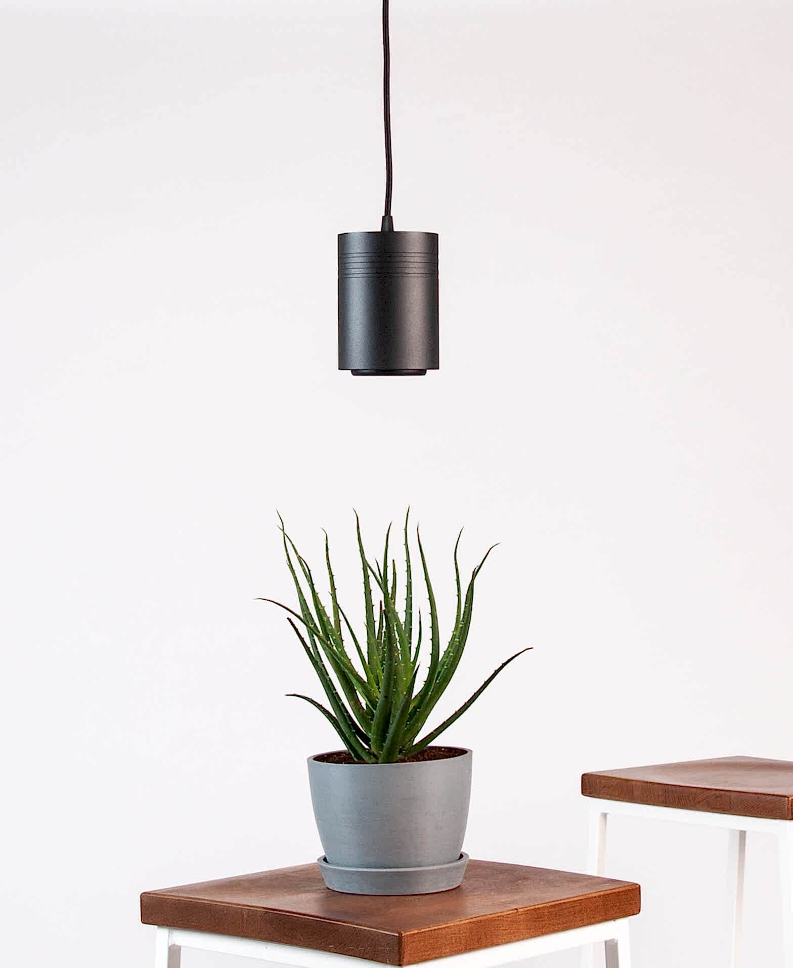 Bloomscape Indoor Grow Light