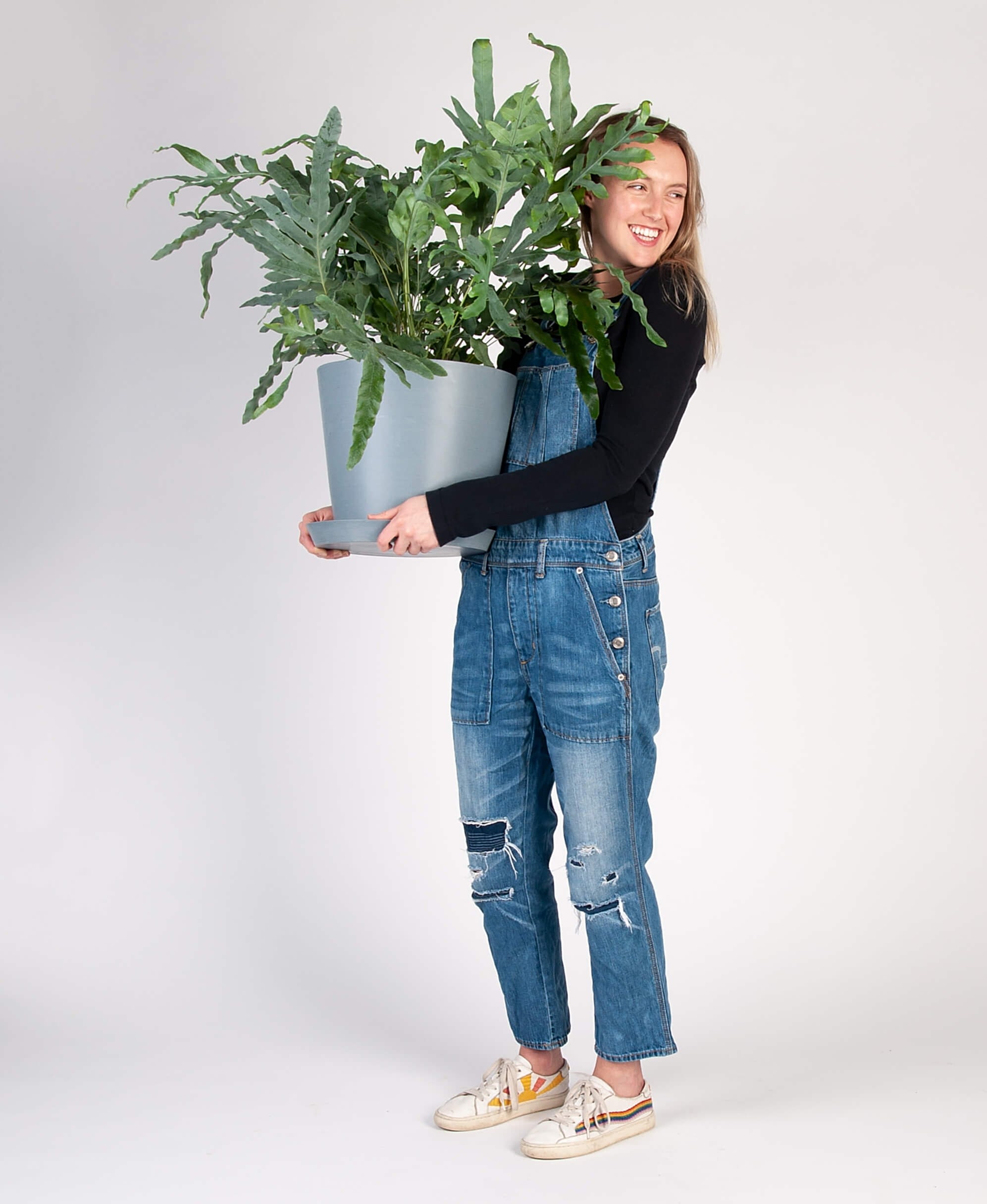 plant image