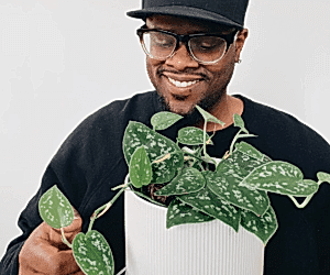 The Plant Care Chronicles: Ricky Dorn