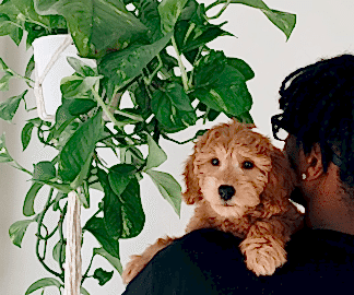 The Plant Care Chronicles: Ricky Dorn