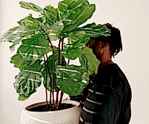 The Plant Care Chronicles: Ricky Dorn