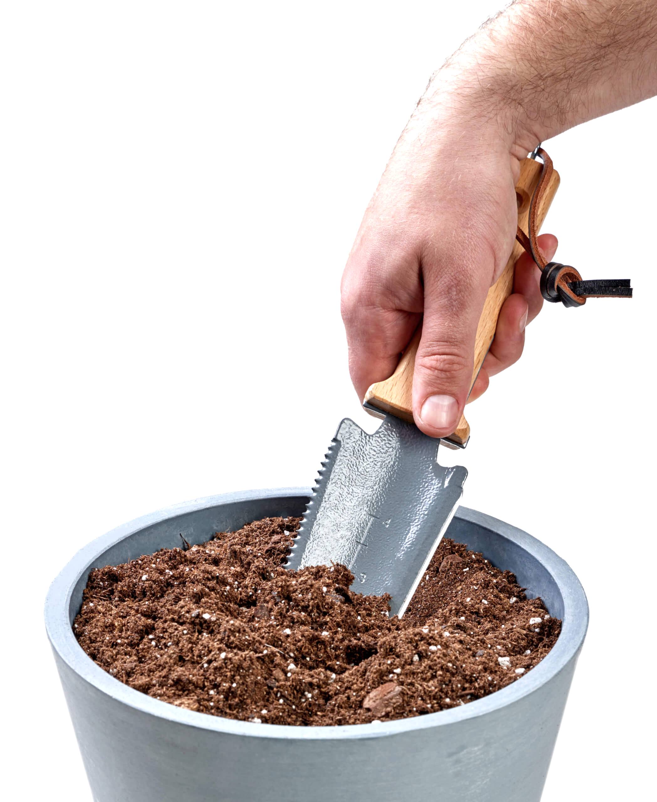 Buy Bloomscape Soil Knife