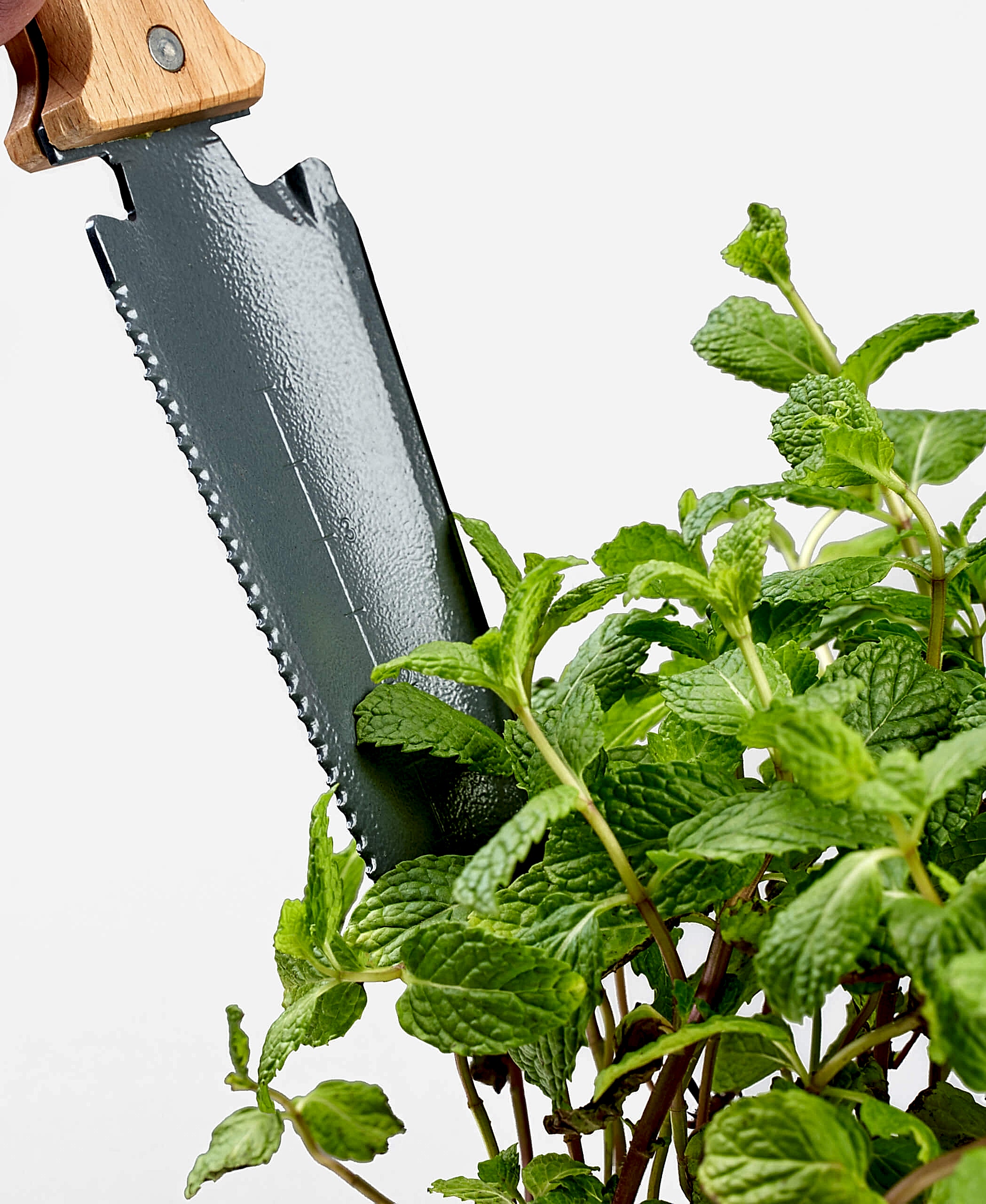 Buy Bloomscape Soil Knife