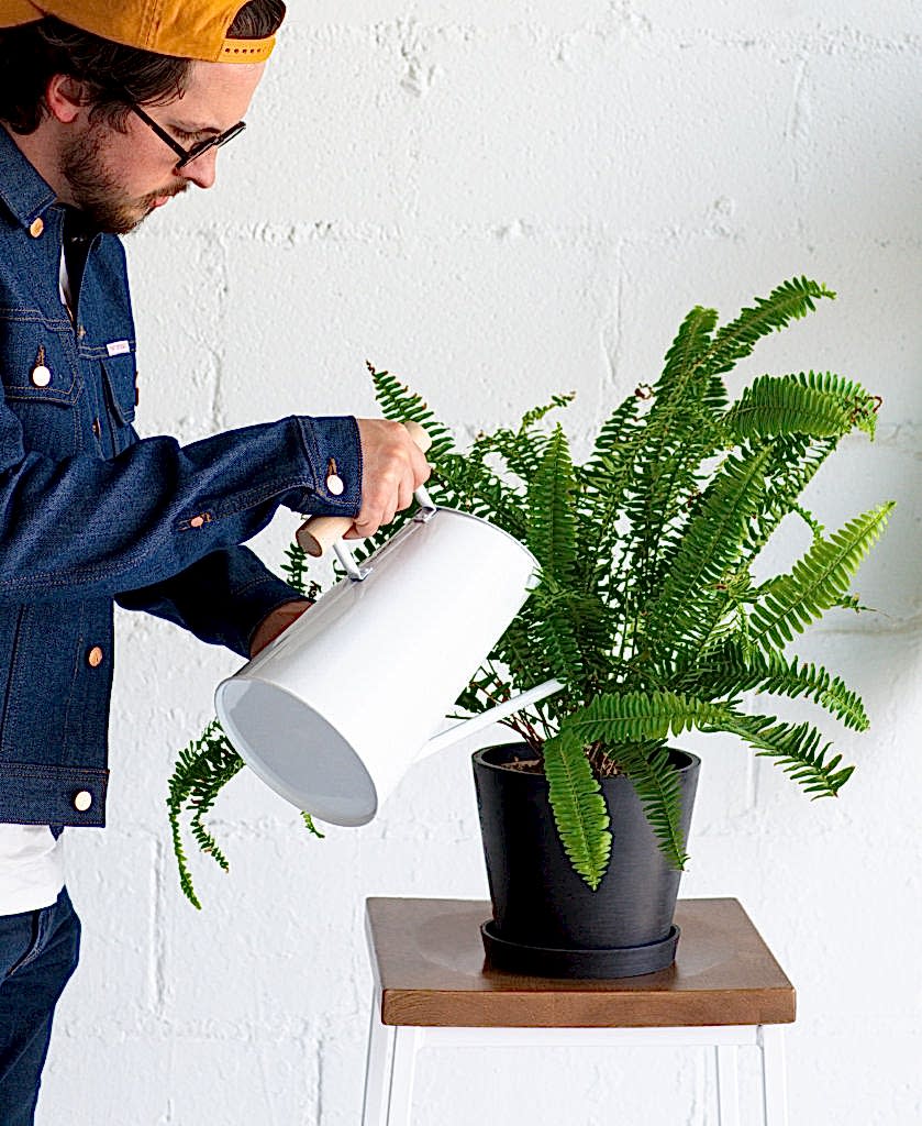 Buy Bloomscape Large Watering Can