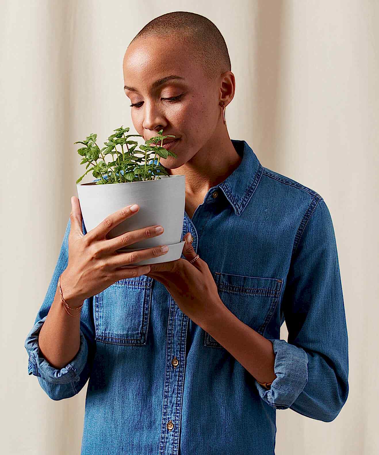 Herb Plant Care