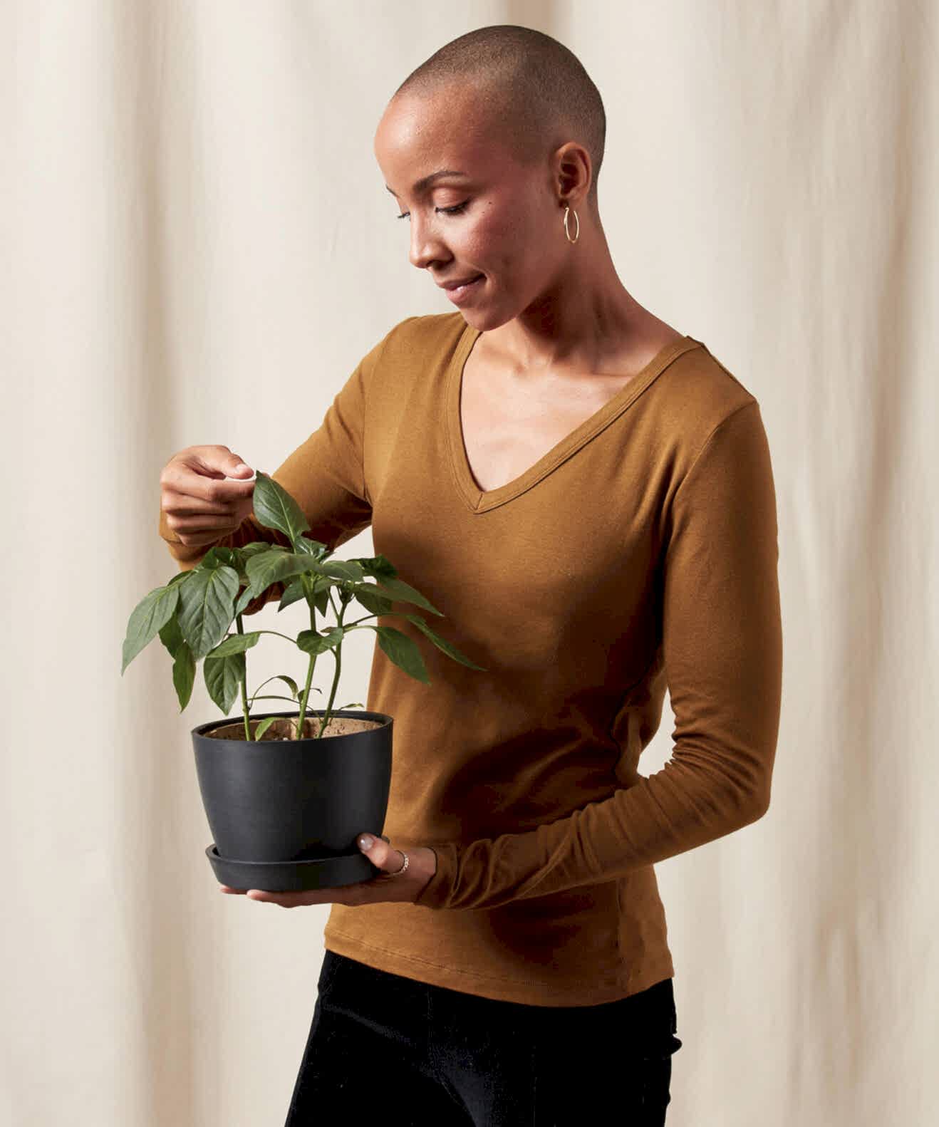 plant image