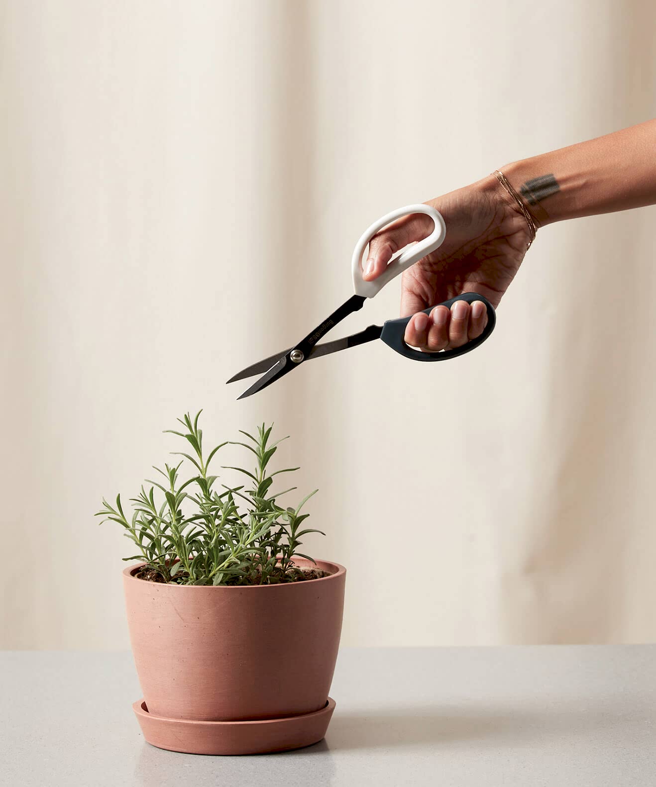 Buy Bloomscape Pruning Scissors