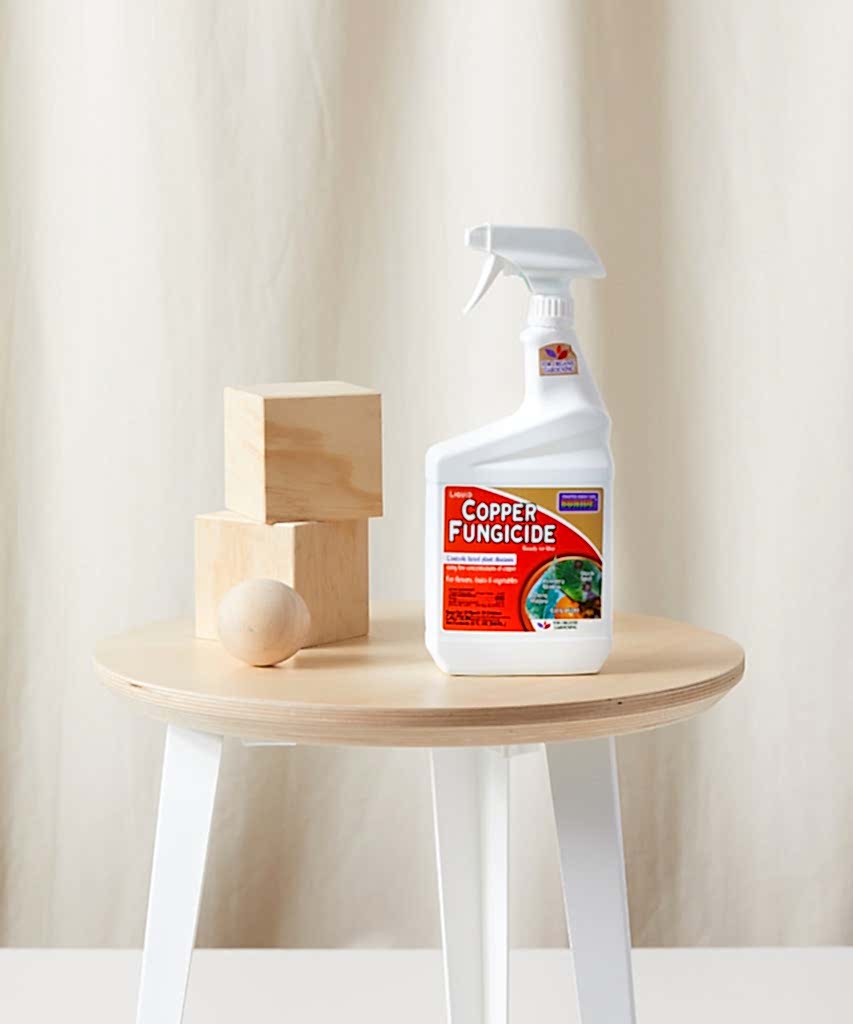Buy Bloomscape Copper Fungicide