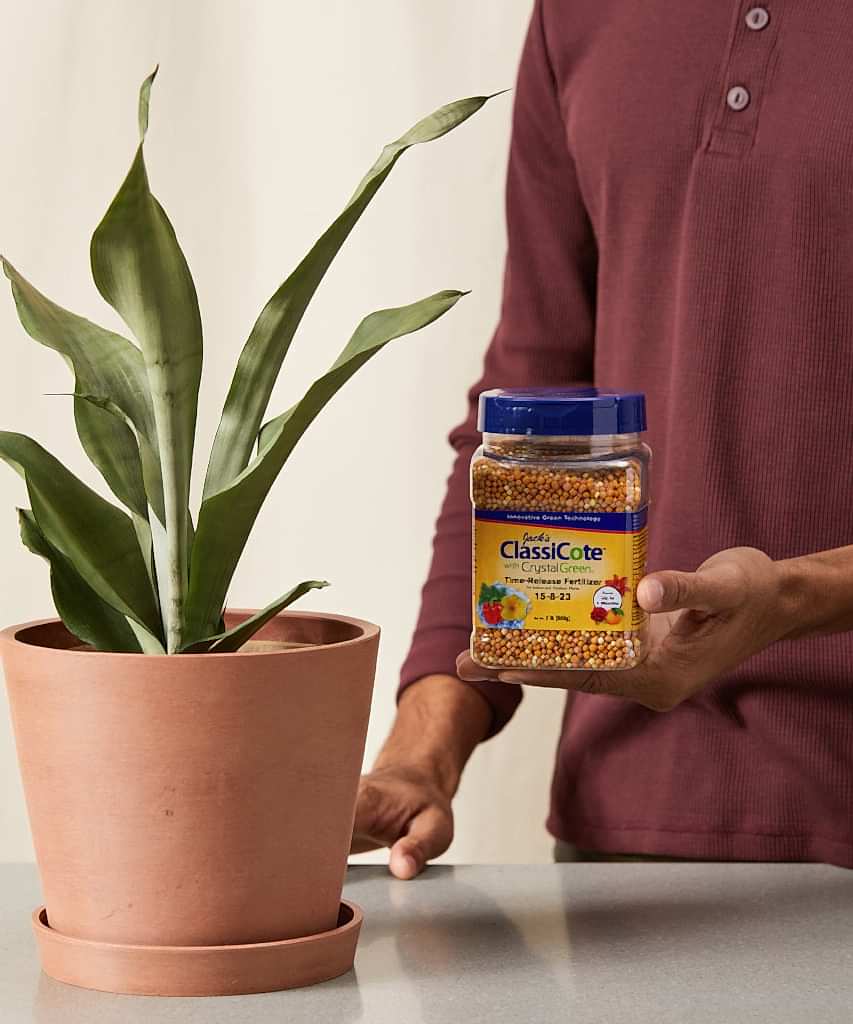 Buy Bloomscape Time Release ClassiCote Fertilizer