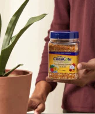 Buy Bloomscape Time Release ClassiCote Fertilizer