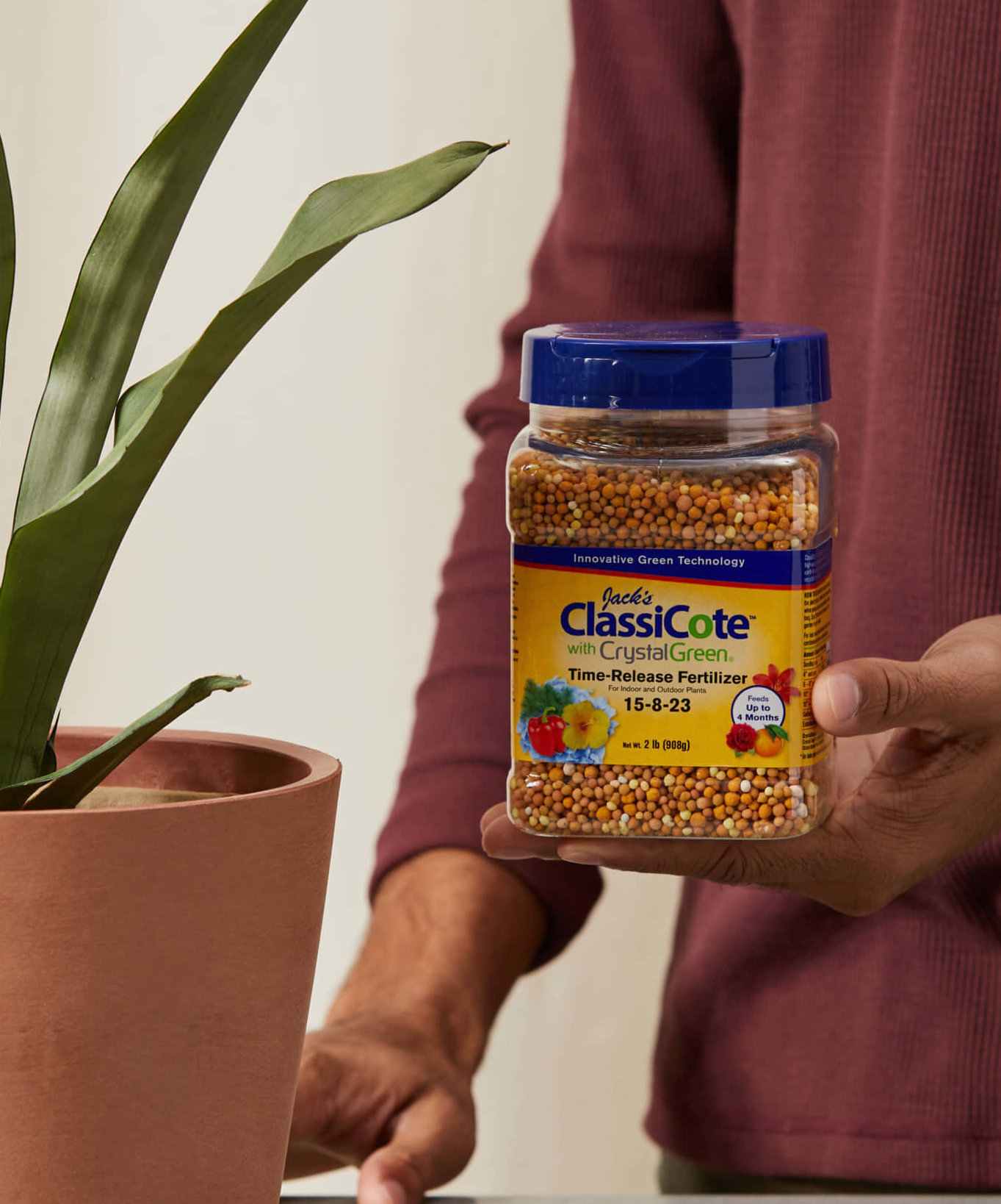 Buy Bloomscape Time Release ClassiCote Fertilizer