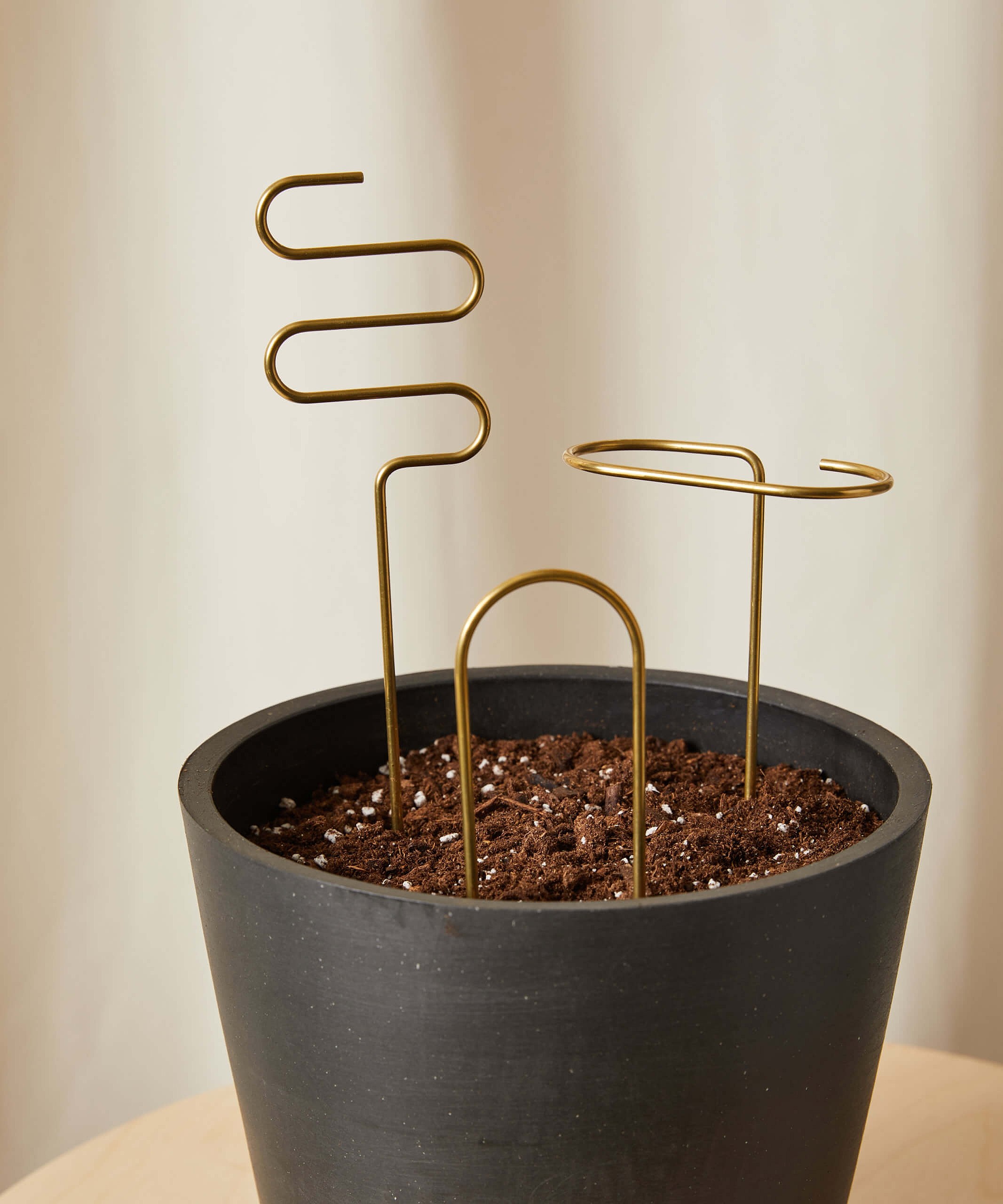 Buy Bloomscape Plant Sticks