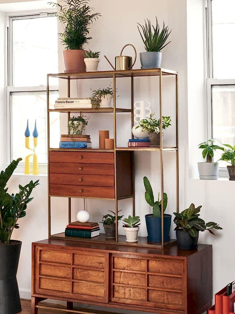 Bloomscape plants displayed on a mid-century modern shelving unit