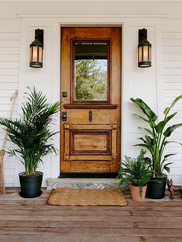 Shop Large and XL plants. Bird of Paradise and Palm plants on either side of front door.