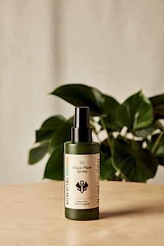 house plant spritz