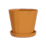 EcoPot